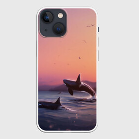 Чехол для iPhone 13 mini с принтом касатки в Курске,  |  | ocean | orca | sea | sea animal | дельфин | закат | касатка | кит | море | океан | рисунок кита