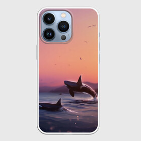 Чехол для iPhone 13 Pro с принтом касатки в Курске,  |  | ocean | orca | sea | sea animal | дельфин | закат | касатка | кит | море | океан | рисунок кита