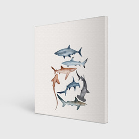 Холст квадратный с принтом акулы в Курске, 100% ПВХ |  | ocean | sea | sea animal | акулы | графика | море | океан | рисунок