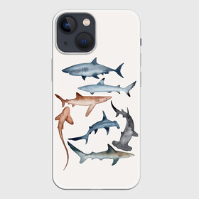 Чехол для iPhone 13 mini с принтом акулы в Курске,  |  | ocean | sea | sea animal | акулы | графика | море | океан | рисунок