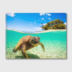 Альбом для рисования с принтом Морская черепашка в Курске, 100% бумага
 | матовая бумага, плотность 200 мг. | отдых | пляж | черепашка под водой