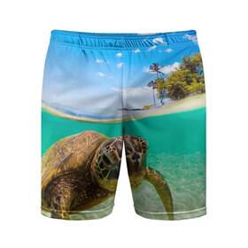 Мужские шорты спортивные с принтом Морская черепашка в Курске,  |  | отдых | пляж | черепашка под водой