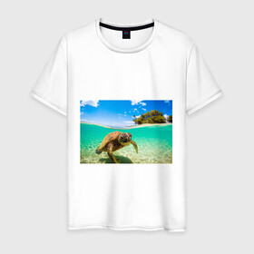 Мужская футболка хлопок с принтом Морская черепашка в Курске, 100% хлопок | прямой крой, круглый вырез горловины, длина до линии бедер, слегка спущенное плечо. | Тематика изображения на принте: отдых | пляж | черепашка под водой