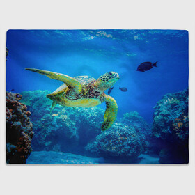 Плед 3D с принтом Морская черепаха в Курске, 100% полиэстер | закругленные углы, все края обработаны. Ткань не мнется и не растягивается | Тематика изображения на принте: морская черепаха | океан | подводный мир | черепаха