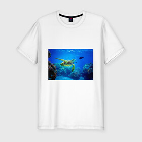 Мужская футболка хлопок Slim с принтом Морская черепаха в Курске, 92% хлопок, 8% лайкра | приталенный силуэт, круглый вырез ворота, длина до линии бедра, короткий рукав | Тематика изображения на принте: морская черепаха | океан | подводный мир | черепаха