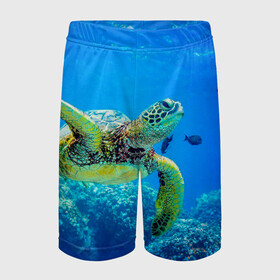 Детские спортивные шорты 3D с принтом Морская черепаха в Курске,  100% полиэстер
 | пояс оформлен широкой мягкой резинкой, ткань тянется
 | морская черепаха | океан | подводный мир | черепаха