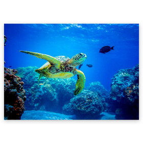 Поздравительная открытка с принтом Морская черепаха в Курске, 100% бумага | плотность бумаги 280 г/м2, матовая, на обратной стороне линовка и место для марки
 | морская черепаха | океан | подводный мир | черепаха