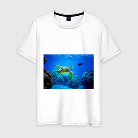 Мужская футболка хлопок с принтом Морская черепаха в Курске, 100% хлопок | прямой крой, круглый вырез горловины, длина до линии бедер, слегка спущенное плечо. | морская черепаха | океан | подводный мир | черепаха