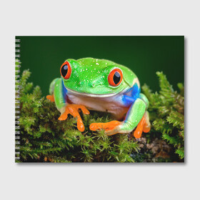 Альбом для рисования с принтом Тропическая лягушка в Курске, 100% бумага
 | матовая бумага, плотность 200 мг. | зеленая лягушка | лягушка | тропики