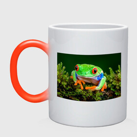 Кружка хамелеон с принтом Тропическая лягушка в Курске, керамика | меняет цвет при нагревании, емкость 330 мл | зеленая лягушка | лягушка | тропики