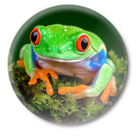 Значок с принтом Тропическая лягушка в Курске,  металл | круглая форма, металлическая застежка в виде булавки | Тематика изображения на принте: зеленая лягушка | лягушка | тропики