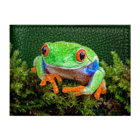 Обложка для студенческого билета с принтом Тропическая лягушка в Курске, натуральная кожа | Размер: 11*8 см; Печать на всей внешней стороне | зеленая лягушка | лягушка | тропики