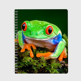 Тетрадь с принтом Тропическая лягушка в Курске, 100% бумага | 48 листов, плотность листов — 60 г/м2, плотность картонной обложки — 250 г/м2. Листы скреплены сбоку удобной пружинной спиралью. Уголки страниц и обложки скругленные. Цвет линий — светло-серый
 | Тематика изображения на принте: зеленая лягушка | лягушка | тропики