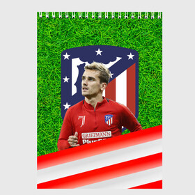 Скетчбук с принтом Антуан Гризманн | Antoine Griezmann (+спина) (Z) в Курске, 100% бумага
 | 48 листов, плотность листов — 100 г/м2, плотность картонной обложки — 250 г/м2. Листы скреплены сверху удобной пружинной спиралью | antoine griezmann | антуан гризманн | атлетико | барса | барселона | гризман | реал сосьедад | сборная франции