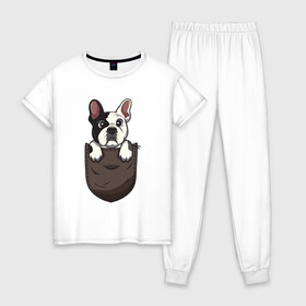 Женская пижама хлопок с принтом Карманный пёс в Курске, 100% хлопок | брюки и футболка прямого кроя, без карманов, на брюках мягкая резинка на поясе и по низу штанин | бульдог | дог | карман | пес | собака