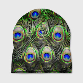 Шапка 3D с принтом peacock в Курске, 100% полиэстер | универсальный размер, печать по всей поверхности изделия | Тематика изображения на принте: pavonine | peacock | peafowl | plumage | павлин