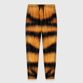 Мужские брюки 3D с принтом Tiger Wool в Курске, 100% полиэстер | манжеты по низу, эластичный пояс регулируется шнурком, по бокам два кармана без застежек, внутренняя часть кармана из мелкой сетки | Тематика изображения на принте: animal | skin | tiger | wool | тигр