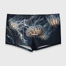 Мужские купальные плавки 3D с принтом Рисунок медуза в Курске, Полиэстер 85%, Спандекс 15% |  | medusa | арт | животные | медузы | рисунок | рыбы | щупальца