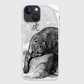 Чехол для iPhone 13 mini с принтом Тигр и змея в Курске,  |  | дикий.природа | животные | зверь | змея | иероглиф | кошка | надпись на японском | тигр