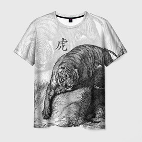 Мужская футболка 3D с принтом Тигр и змея в Курске, 100% полиэфир | прямой крой, круглый вырез горловины, длина до линии бедер | Тематика изображения на принте: дикий.природа | животные | зверь | змея | иероглиф | кошка | надпись на японском | тигр