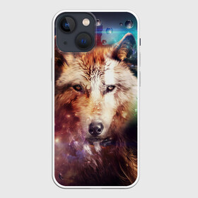 Чехол для iPhone 13 mini с принтом Красивый волк в Курске,  |  | wolf | ауф | волк | животные | зверобой | зверь | красивый