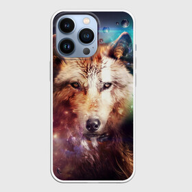 Чехол для iPhone 13 Pro с принтом Красивый волк в Курске,  |  | wolf | ауф | волк | животные | зверобой | зверь | красивый