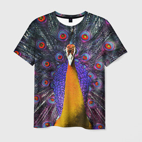 Мужская футболка 3D с принтом Павлин в Курске, 100% полиэфир | прямой крой, круглый вырез горловины, длина до линии бедер | peacock | peafowl | plumage | оперение | павлин