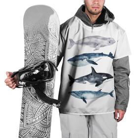 Накидка на куртку 3D с принтом киты в Курске, 100% полиэстер |  | ocean | orca | sea | sea animal | whale | белуха | дельфин | касатка | кит | море | океан | рисунок кита | синий кит