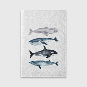 Обложка для паспорта матовая кожа с принтом киты в Курске, натуральная матовая кожа | размер 19,3 х 13,7 см; прозрачные пластиковые крепления | ocean | orca | sea | sea animal | whale | белуха | дельфин | касатка | кит | море | океан | рисунок кита | синий кит