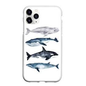 Чехол для iPhone 11 Pro матовый с принтом киты в Курске, Силикон |  | ocean | orca | sea | sea animal | whale | белуха | дельфин | касатка | кит | море | океан | рисунок кита | синий кит