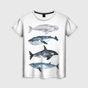 Женская футболка 3D с принтом киты в Курске, 100% полиэфир ( синтетическое хлопкоподобное полотно) | прямой крой, круглый вырез горловины, длина до линии бедер | ocean | orca | sea | sea animal | whale | белуха | дельфин | касатка | кит | море | океан | рисунок кита | синий кит