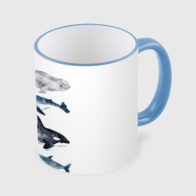 Кружка с принтом киты в Курске, керамика | ёмкость 330 мл | Тематика изображения на принте: ocean | orca | sea | sea animal | whale | белуха | дельфин | касатка | кит | море | океан | рисунок кита | синий кит