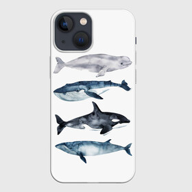 Чехол для iPhone 13 mini с принтом киты в Курске,  |  | ocean | orca | sea | sea animal | whale | белуха | дельфин | касатка | кит | море | океан | рисунок кита | синий кит