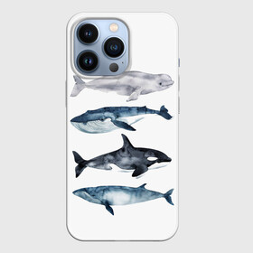 Чехол для iPhone 13 Pro с принтом киты в Курске,  |  | ocean | orca | sea | sea animal | whale | белуха | дельфин | касатка | кит | море | океан | рисунок кита | синий кит