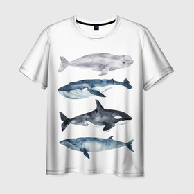 Мужская футболка 3D с принтом киты в Курске, 100% полиэфир | прямой крой, круглый вырез горловины, длина до линии бедер | ocean | orca | sea | sea animal | whale | белуха | дельфин | касатка | кит | море | океан | рисунок кита | синий кит