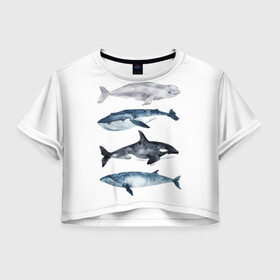 Женская футболка Crop-top 3D с принтом киты в Курске, 100% полиэстер | круглая горловина, длина футболки до линии талии, рукава с отворотами | ocean | orca | sea | sea animal | whale | белуха | дельфин | касатка | кит | море | океан | рисунок кита | синий кит