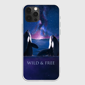 Чехол для iPhone 12 Pro с принтом косатка в Курске, силикон | область печати: задняя сторона чехла, без боковых панелей | Тематика изображения на принте: ocean | orca | sea | sea animal | дельфин | касатка | кит | море | океан | рисунок кита