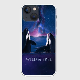 Чехол для iPhone 13 mini с принтом косатка в Курске,  |  | ocean | orca | sea | sea animal | дельфин | касатка | кит | море | океан | рисунок кита