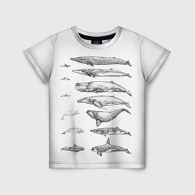 Детская футболка 3D с принтом киты графика в Курске, 100% гипоаллергенный полиэфир | прямой крой, круглый вырез горловины, длина до линии бедер, чуть спущенное плечо, ткань немного тянется | ocean | orca | sea | sea animal | whale | графика | дельфин | касатка | кит | море | океан | плакат | рисунок кита