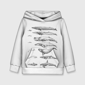 Детская толстовка 3D с принтом киты графика в Курске, 100% полиэстер | двухслойный капюшон со шнурком для регулировки, мягкие манжеты на рукавах и по низу толстовки, спереди карман-кенгуру с мягким внутренним слоем | ocean | orca | sea | sea animal | whale | графика | дельфин | касатка | кит | море | океан | плакат | рисунок кита