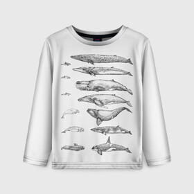 Детский лонгслив 3D с принтом киты графика в Курске, 100% полиэстер | длинные рукава, круглый вырез горловины, полуприлегающий силуэт
 | ocean | orca | sea | sea animal | whale | графика | дельфин | касатка | кит | море | океан | плакат | рисунок кита