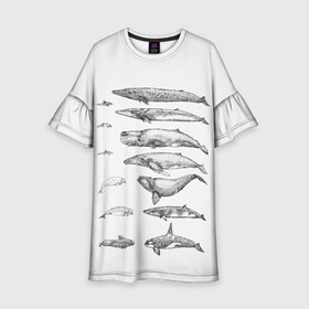 Детское платье 3D с принтом киты графика в Курске, 100% полиэстер | прямой силуэт, чуть расширенный к низу. Круглая горловина, на рукавах — воланы | ocean | orca | sea | sea animal | whale | графика | дельфин | касатка | кит | море | океан | плакат | рисунок кита