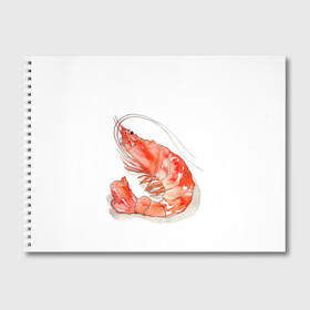 Альбом для рисования с принтом креветка в Курске, 100% бумага
 | матовая бумага, плотность 200 мг. | ocean | sea | sea animal | креветка | лобстер | море | океан | рак
