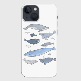 Чехол для iPhone 13 mini с принтом киты в Курске,  |  | ocean | orca | sea | sea animal | whale | графика | дельфин | иллюстрация | касатка | кит | море | океан | рисунок кита