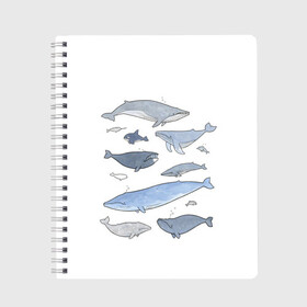Тетрадь с принтом киты в Курске, 100% бумага | 48 листов, плотность листов — 60 г/м2, плотность картонной обложки — 250 г/м2. Листы скреплены сбоку удобной пружинной спиралью. Уголки страниц и обложки скругленные. Цвет линий — светло-серый
 | ocean | orca | sea | sea animal | whale | графика | дельфин | иллюстрация | касатка | кит | море | океан | рисунок кита