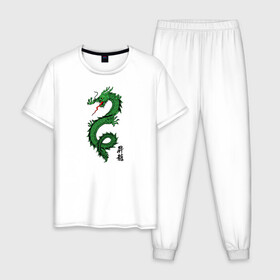 Мужская пижама хлопок с принтом Китайский дракон в Курске, 100% хлопок | брюки и футболка прямого кроя, без карманов, на брюках мягкая резинка на поясе и по низу штанин
 | dragon | иероглифы | китайский дракон | монстр | надпись на китайском | тату | татуировка | ящерица