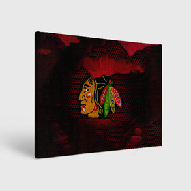 Холст прямоугольный с принтом CHICAGO NHL в Курске, 100% ПВХ |  | blackhawks | chicago | iron | logo | nhl | red | sport | usa | блэкхоукс | железо | логотип | нхл | сетка | спорт | сша | хоккей | чикаго