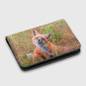 Картхолдер с принтом с принтом Лисичка в Курске, натуральная матовая кожа | размер 7,3 х 10 см; кардхолдер имеет 4 кармана для карт; | fox | foxy | животное | звери | лиса | лисенок | лисичка | милая | рыжая | фокс