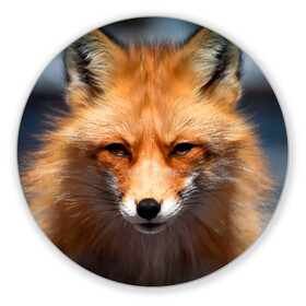 Коврик для мышки круглый с принтом Хитрая лисица в Курске, резина и полиэстер | круглая форма, изображение наносится на всю лицевую часть | fox | foxy | животное | звери | лиса | лисенок | лисичка | милая | рыжая | фокс
