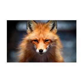 Бумага для упаковки 3D с принтом Хитрая лисица в Курске, пластик и полированная сталь | круглая форма, металлическое крепление в виде кольца | fox | foxy | животное | звери | лиса | лисенок | лисичка | милая | рыжая | фокс